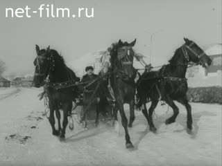 Newsreel Soviet Ural Mountains 1984 № 14