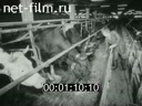 Киножурнал Советский Урал 1985 № 5
