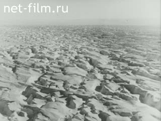 Фильм А не растопить ли нам Арктику?. (1974)