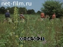 Film By equestrian trails.. (1985)
