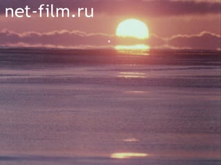 Film Flowers In the Ocean.. (1981)