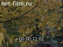 Фильм Москва, времена года.. (1978)