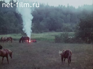Фильм Селигер, любовь моя и тревога. (1974)