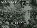 Сюжеты Черноморские курорты. (1922)