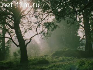 Фильм Свет Оптиной.. (1991)