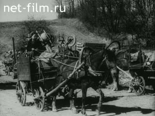 Фильм Навстречу солнцу. (1941)
