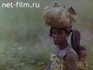 Film One Hundred Kilometers to the Equator. (1973)