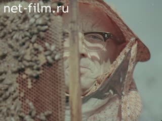 Film A Recollection About Autumn.. (1975)
