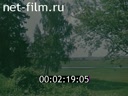 Film On a Visit to Alexander Pushkin (a great Russian poet and writer). (1970)
