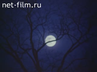 Фильм Хроника лунных ночей.. (1983)