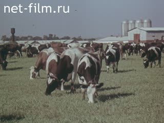 Newsreel Agriculture 1988 № 9