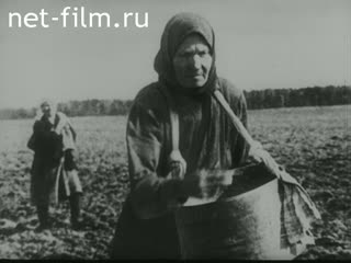 Film USSR. (1976)