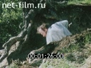 Фильм Сказы Уральских гор. (1968)