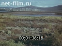 Фильм Во имя жизни.. (1991)