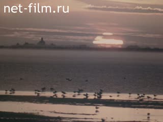 Фильм Вода священная.. (1984)