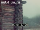 Film Wooden architecture of Siberia. (1975)