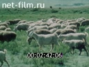 Фильм Голоса предков. (1994)