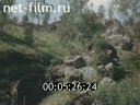 Фильм Башкирский заповедник. (1974)