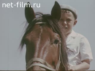 Film In Askania Nova. (1971)