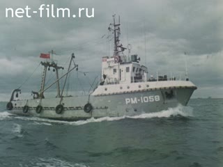 Киножурнал По СССР 1979 № 163 Пахари трех полей