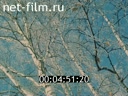 Great Ural Mountains 1994 № 2 Seasons: footprints in the snow