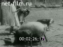 Newsreel Ural Mountains' Video Chronicle 1998 № 6 Directed by Litvinov, to the 100th anniversary of his birth.