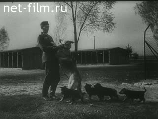 Киножурнал Дойче Вохеншау 1944 № 724