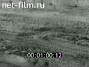 Newsreel The Russians 1992 № 4 Year of the monkey.