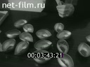 Киножурнал Енисейский Меридиан 1993 № 1 Русское поле