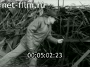 Newsreel Enisei River's Meridian 1987 № 12 Cooperatives: Pros and Cons