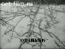 Footage Fragments from the film "Pure Dawns". (1971)