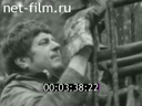 Киножурнал Советский Урал 1979 № 37