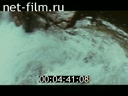 Фильм Шуми, водопад!. (1977)