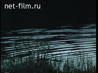Film On the Kulikovo Field.. (1980)