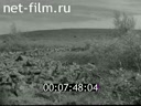 Newsreel Soviet Ural Mountains 1957 № 39