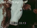 Film Affairs and the people farm "Nazarovsky". (1988)