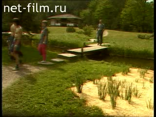 Footage The Japanese garden in the Botanical Gardens in Moscow. (1995)