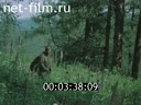 Фильм Рассказы о Сибири. Природная аптека. (1983)