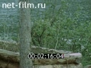 Фильм ОТШЕЛЬНИКИ. (1989)