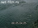 Фильм Экология Урала: Вода. (1993)