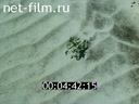 Film Ecology Urals: Earth. (1992)