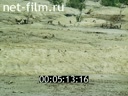 Film Ecology Urals: Earth. (1992)
