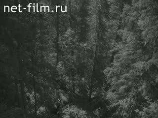 Фильм Сибирская быль.. (1962)