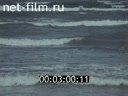 Film Young Siberian oil town. (1973)