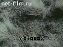 Film Nature Urals. (1967)