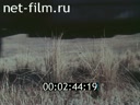 Фильм Природа Урала. (1967)