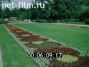 Фильм Декоративное садоводство. Раздел 1.. (1987)
