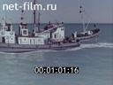 Фильм Геофизическая разведка на море. (1967)
