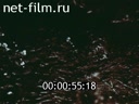 Фильм ЮКТЭ - ИСТОЧНИК. (1989)