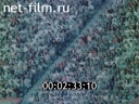 Фильм СССР - Индия: новые горизонты дружбы.. (1987)